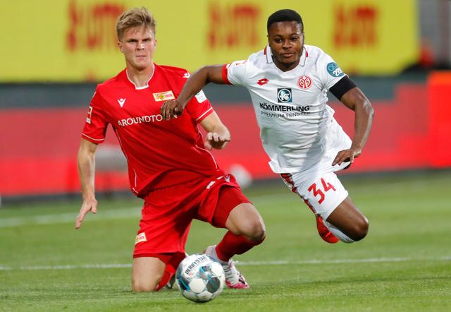 黄蜂有意识 黄蜂有意识